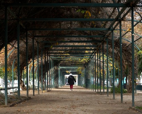 A person walking through a peaceful park in Santiago de Chile
